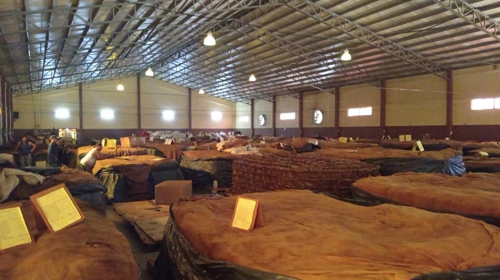 Tobacco curing galera